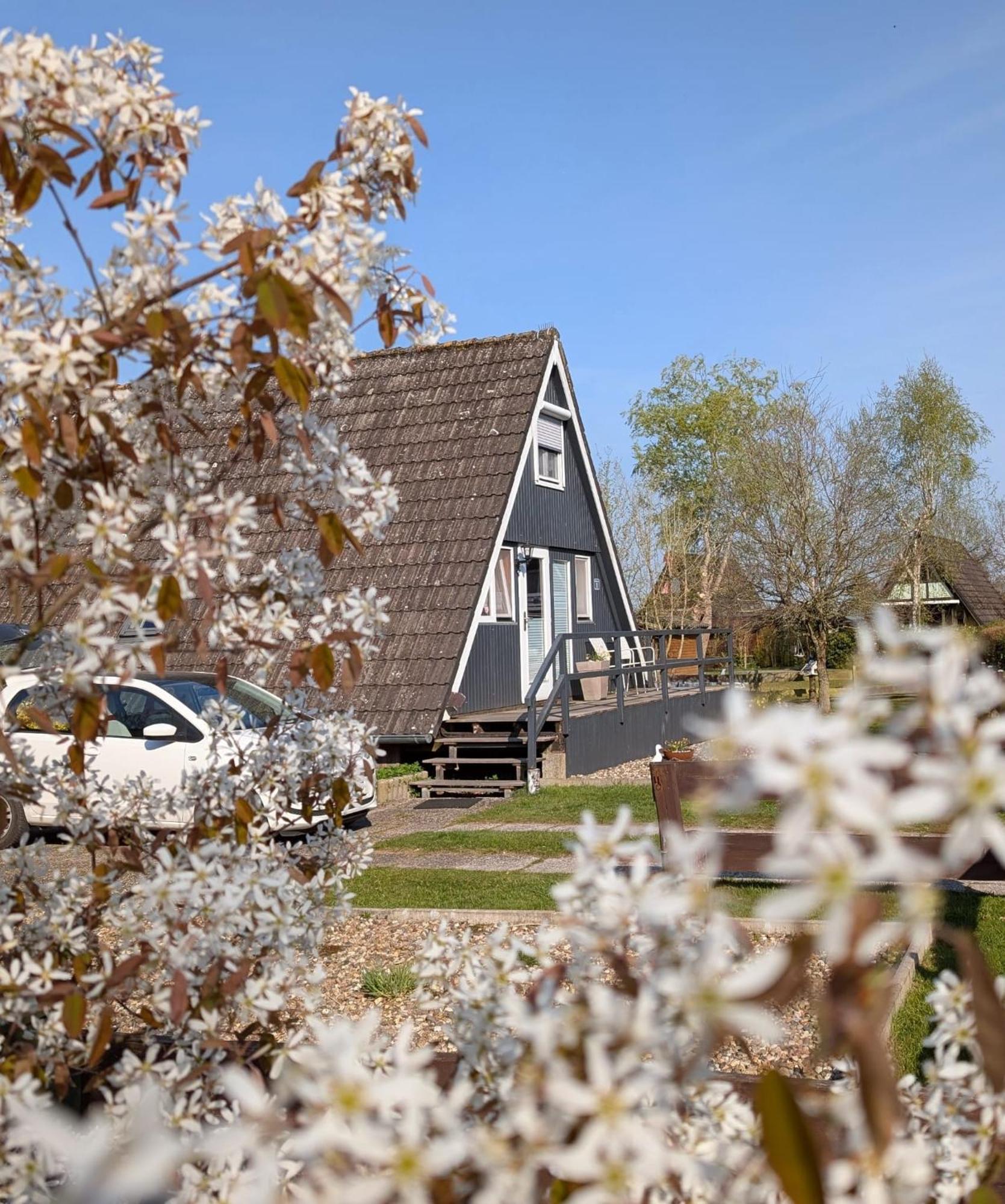 Südbrookmerland Ferienhaus Brungers מראה חיצוני תמונה